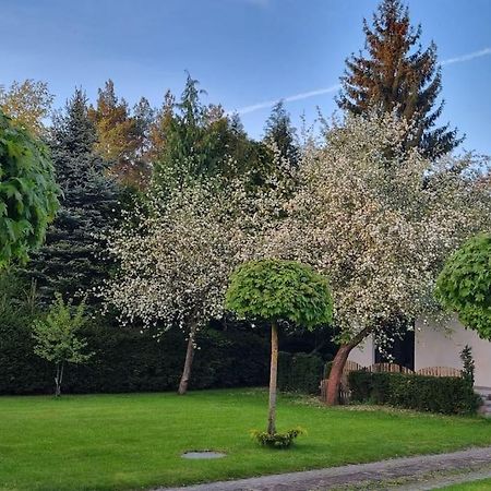 Villa Pod Jablonia Bydgoszcz Exterior foto