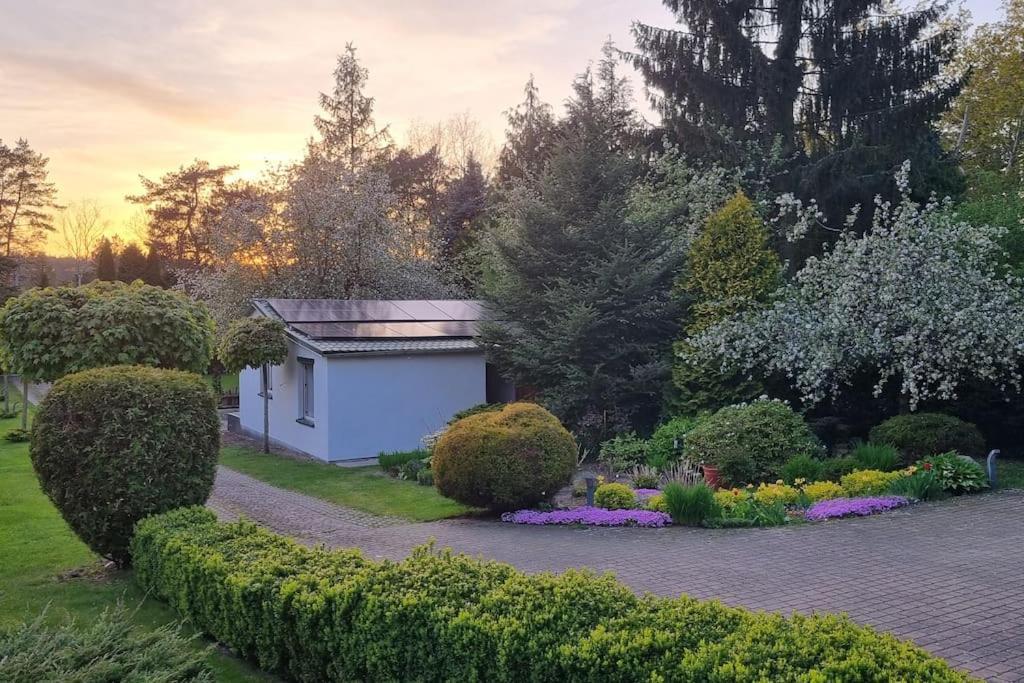 Villa Pod Jablonia Bydgoszcz Exterior foto