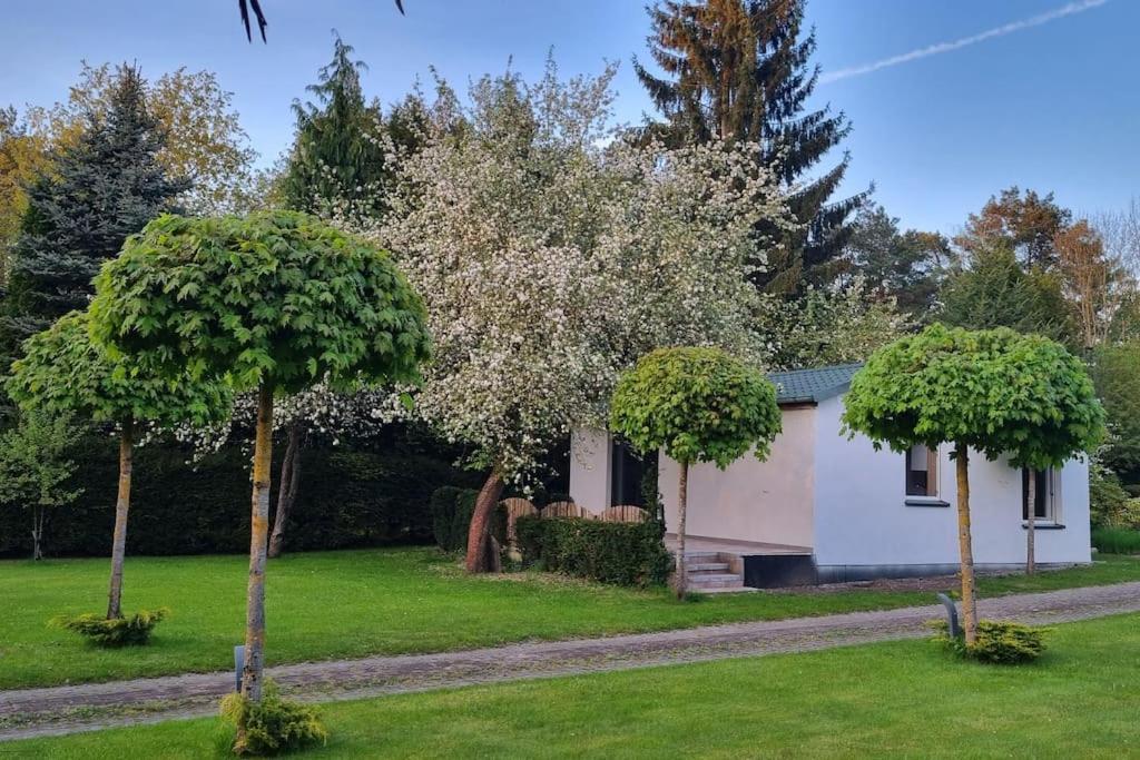 Villa Pod Jablonia Bydgoszcz Exterior foto